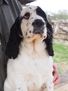 a Ornella ....opravdu musím už jet?