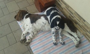 Orianka má taky kámošku, Guilinkovu dceru!