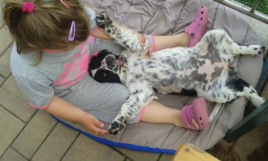 Orianka - skrakatice strakatá ze všech nejstrakatější!