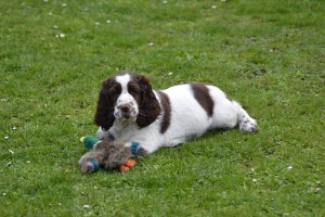 Orsi se má skvěle.