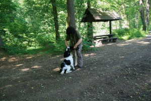 Takhle se ten králík drží, ju?