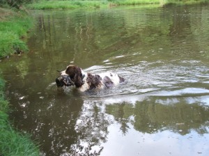 Byla s námi i Belinka, která všem ukazovala, jak se správně nosí kachna z vody.