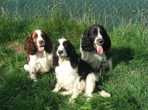 Focení doma s Neronkem - ségra Naiky a prasestřenice Mendy