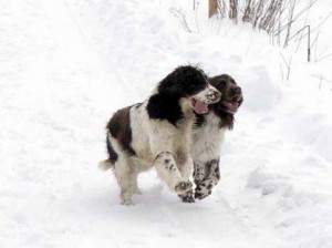 Lady s maminkou Borinkou.