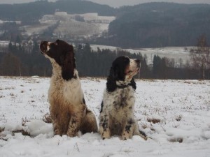 Jak jí mám přesvědčit, aby se mnou mluvila?