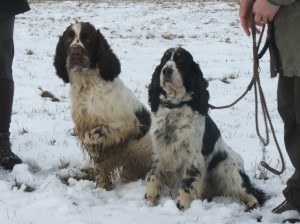 Už trošku komunikuje...ale že dělá drahoty ženská jedna, vždyť jsem fešák!