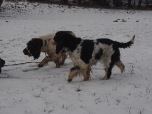 Trošku se projdem a pak...