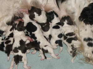 Všichni chtějí papat!Foto třetí den.