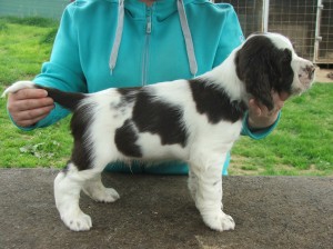 Portos z Větrné paseky