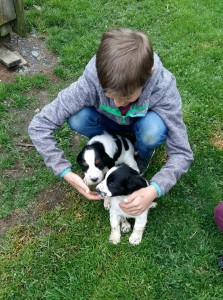 Honzík s Perlou a Patsy.