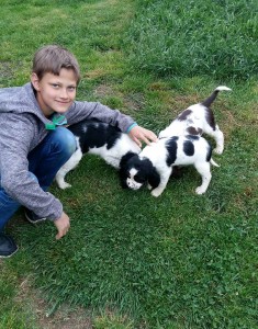 Honzík s Pegasem, Patsy a Portosem.