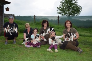 Závěrečné foto vrhu "R" na rozloučení - Rambo, Robin, Ramon, Raika, Riko, Ryan, Rixie, Reisha, Ryana a maminka Kara vykukuje za blonďatou holčičkou.