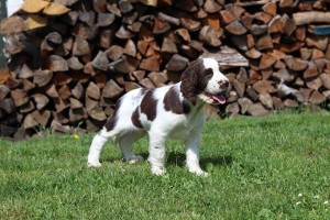 Postoj i z druhé strany.