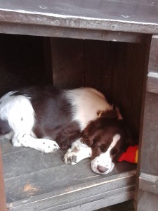 Na zahradě má Betynka odpočinkovou boudičku.