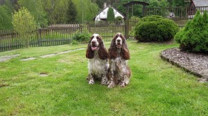 Dva kámoši Ebigeil z Větrné paseky a Antonio Giuseppe Gabrettina - Tony.