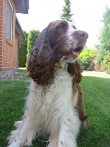 Isolda - Chelsea je krásná dáma.