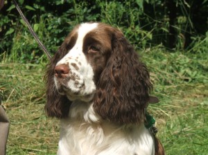Bzučení strojku však Orsanka nezvládla a tak jí to stejně sluší i neostříhané uši!