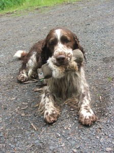 Trocha procvičení s dummy Gulianovi neuškodí..ale prý raději nosí zvěř.