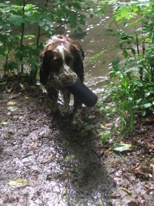 To myslíš vážně, abych tahal z vody dummy???