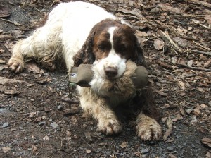 No dobře, budu to držet, ale příště mi dej voňavou kachničku!!!