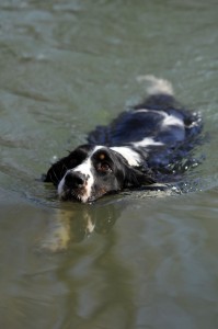 Farísa zbožňovala práci ve vodě.