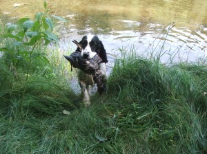 Odpoledne jsem šla ještě procvičit trošku Karu.