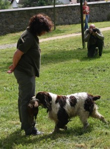 Borča z Větrné paseky (Belí) předvádí na slavnostním zahájení chovatelské přehlídky trofejí 1.6. dohledávku pernaté.