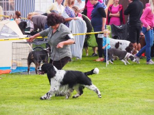 Nero je velmi obtížný na prědvádění, ale dělala jsem, co jsem mohla....