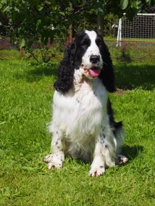 Mendinka - něžné a milé stvořeníčko.