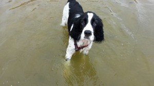 Ta voda není moc čistá...