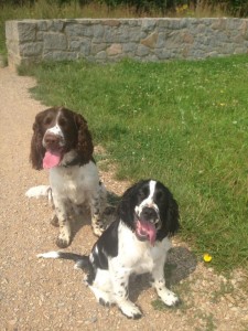 Robin se svým kámošem.