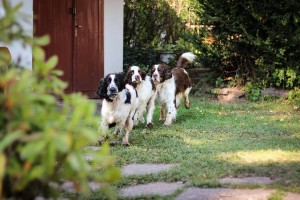 Jupíí a jde se řádit!