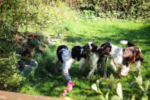 Co to máš Portosku? Dej nám to!