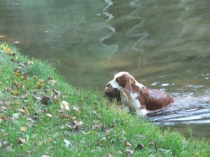 A hezky jí vynáší z vody.