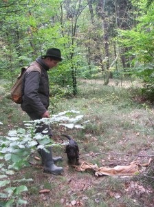 A našel srnčí deku.