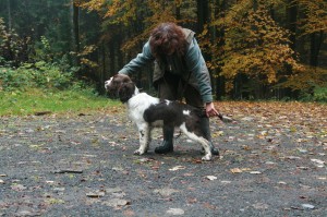 Reisha foto šest měsíců - nejdříve však prolétla kaluží...