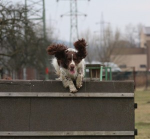 Iran musí překonávat těžké překážky.