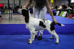 Portosek velmi nadějný 1