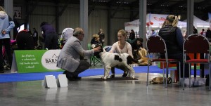 Pan rozhodčí Portoska důkladně prohlíží.