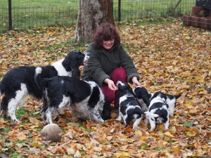 Štěňátka Berenika, Barnabáš, Benjamin a Bertík jsou kouzelná.