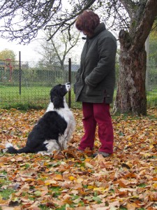 Hubínku, koukej se ještě o ně starat, vím, že jsi moudrý a velmi rozumný psí strejček!