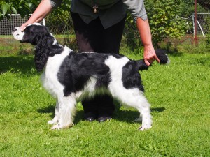 Mendy z Větrné paseky.