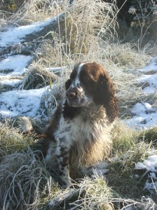 Giulian se nerad fotí..proto se tak tváří..