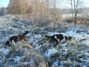 Reisha pomáhala Giulianovi oslavovat!Tedy slídit ve sněhu, byl to Reishy první sníh!