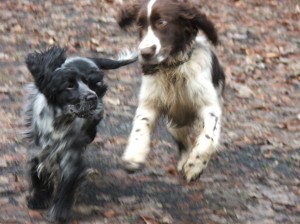 A po práci legraci!