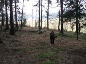 Sláva Reisha něco našla!