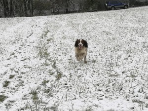 Rambův první sníh.