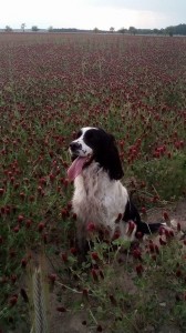 Karina z Větrné paseky.
