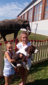 Aspoň už víš, jak vypadá slon!