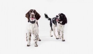 S kámošem Barneym oba pozóvali před fotografem.